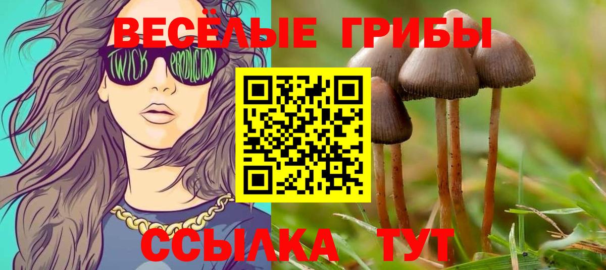 Канаш  Галлюциногенные грибы ЛСД  Вход с VPN  Галлюциногенные грибы Magic Shrooms 